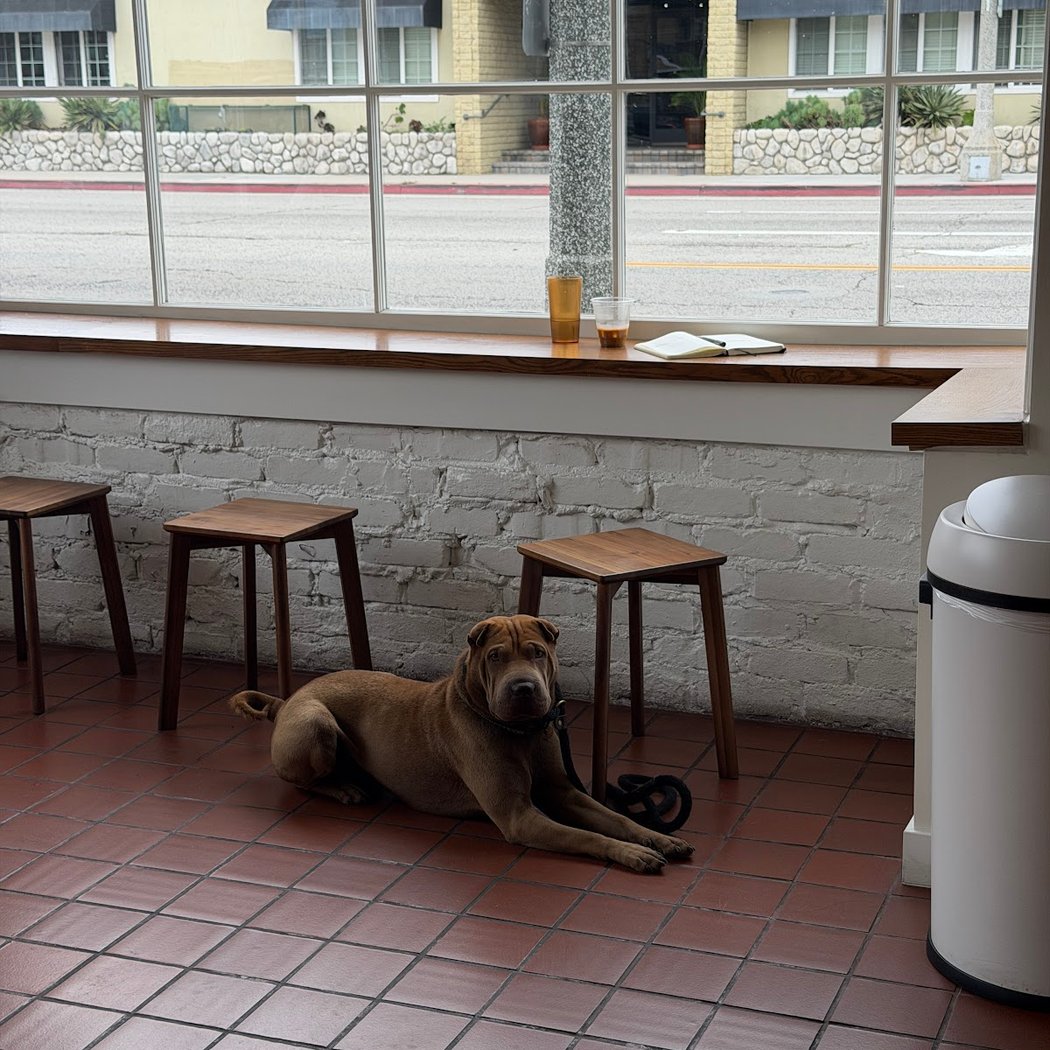 Cyclops Coffee 1